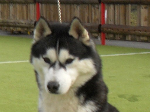 Chanel Of cool water