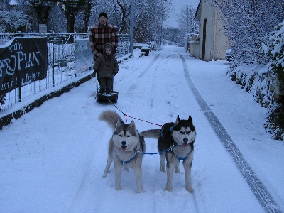 du petit Fresquet enchanté - de la neige à angouleme