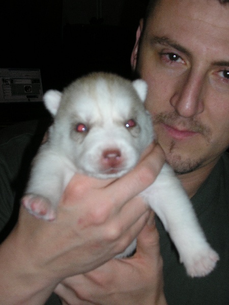 PORTEE KISSY 2007