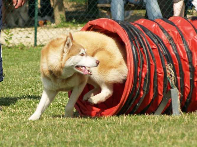AGILITY